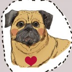 pug